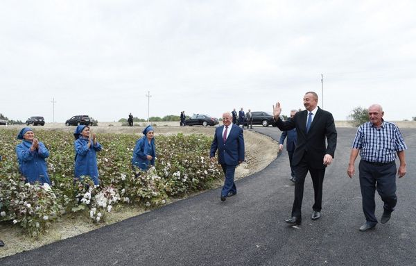 Президент Ильхам Алиев ознакомился с хлопковым участком в Нефтчалинском районе - Sputnik Азербайджан