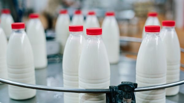 Молочная продукция, фото из архива - Sputnik Азербайджан