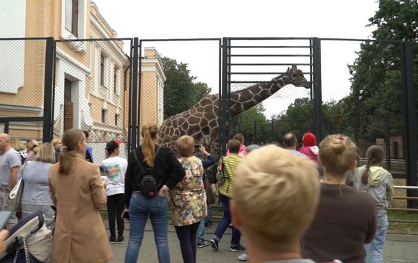 Cолисты дуэта Непара Александр Шоуа и Виктория Талышинская посетили зоопарк вместе с участниками конкурса Ты супер! Танцы - Sputnik Азербайджан