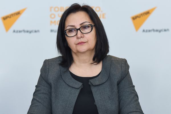 Директор Института профессионального развития работников образования министерства образования Вяфа Ягублу Директор Института профессионального развития работников образования министерства образования Вяфа Ягублу - Sputnik Азербайджан