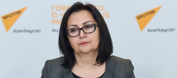Директор Института профессионального развития работников образования министерства образования Вяфа Ягублу - Sputnik Азербайджан
