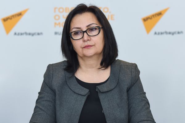 Директор Института профессионального развития работников министерства образования Азербайджана Вафа Ягублу - Sputnik Азербайджан