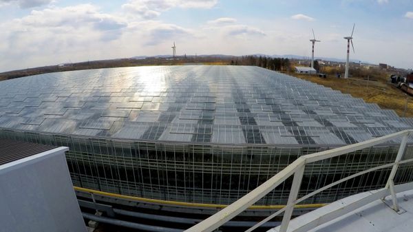 Alternativ enerji - Sputnik Азербайджан