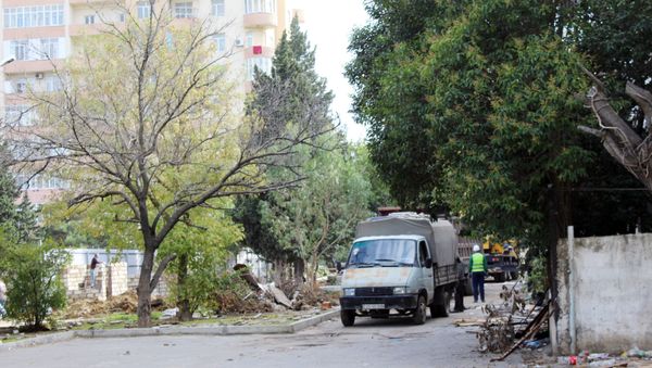 Вырубка деревьев в Баку возле станции метро Иншаатчылар, архивное фото - Sputnik Азербайджан