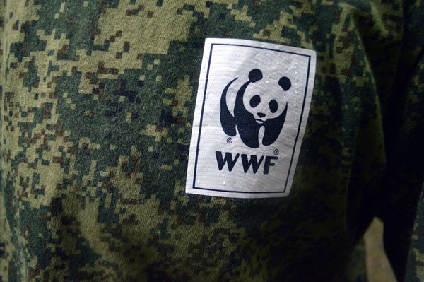 Рахманов является сотрудником бакинского офиса WWF - Sputnik Азербайджан