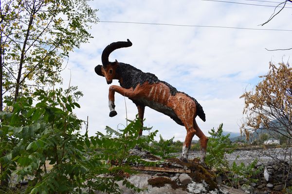 Cкульптуры, сделанные Асимом Мустафаевым - Sputnik Азербайджан