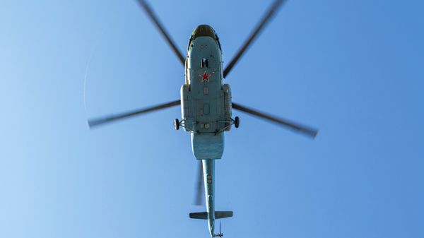 Всероссийские соревнования по парашютному спорту Кижские купола 2.0 - Sputnik Азербайджан