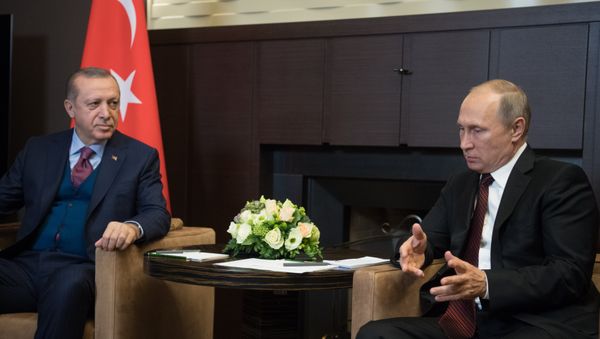 Президент РФ Владимир Путин и президент Турции Реджеп Тайип Эрдоган во время встречи, Сочи, 13 ноября 2017 года - Sputnik Азербайджан