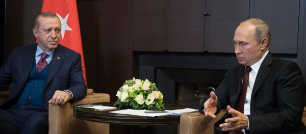 Президент РФ Владимир Путин и президент Турции Реджеп Тайип Эрдоган во время встречи, Сочи, 13 ноября 2017 года - Sputnik Азербайджан