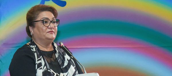 Глава Государственного комитета по проблемам семьи, женщин и детей Хиджран Гусейнова - Sputnik Азербайджан