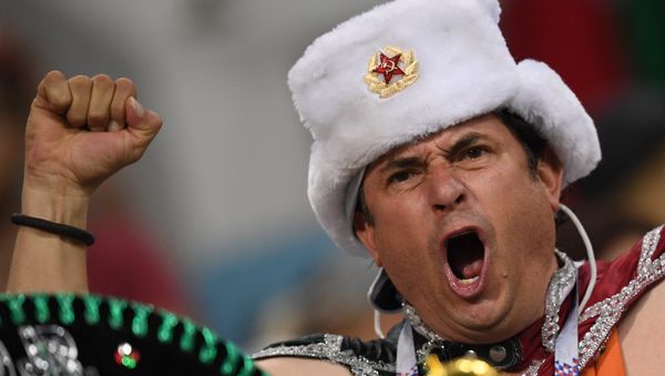 Нужна ли виза болельщику Чемпионата мира 2018 года? - Sputnik Азербайджан