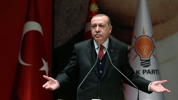 Президент Турции Реджеп Тайип Эрдоган, фото из архива - Sputnik Азербайджан