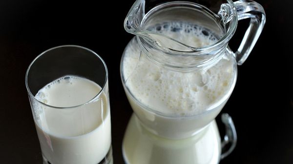 Kefir - Sputnik Азербайджан