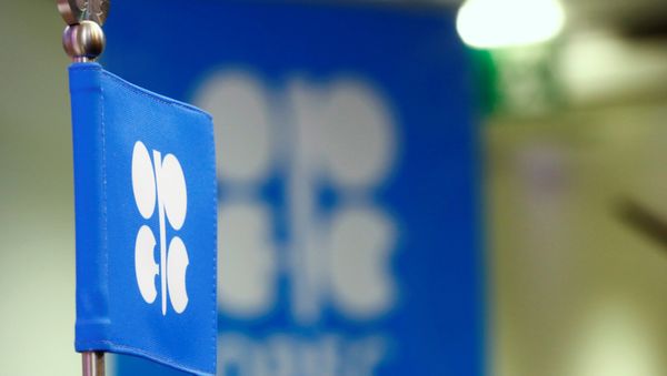 Флаг OPEC перед конференцией в Вене, Австрия, 24 октября 2016 года - Sputnik Азербайджан
