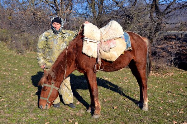 Симе Мамедовой 63 года, но возраст не мешает ей продолжать заниматься любимым делом - Sputnik Азербайджан