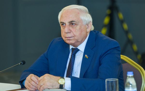 Председатель комитета по труду и социальной политике Милли Меджлиса Хади Раджабли - Sputnik Азербайджан
