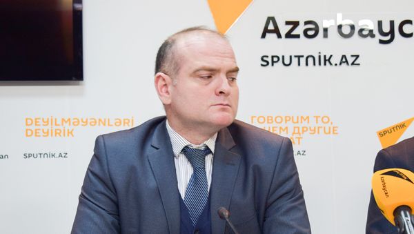 Профессор Государственного экономического университета Азербайджана Эльшад Мамедов - Sputnik Азербайджан