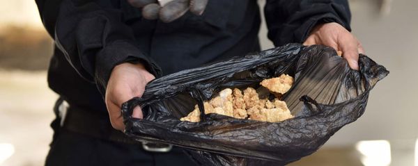Уничтожение наркотических средств, фото из архива - Sputnik Азербайджан