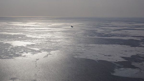 Японское море, фото из архива - Sputnik Азербайджан