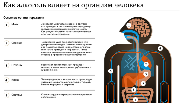 Как алкоголь влияет на организм - Sputnik Азербайджан