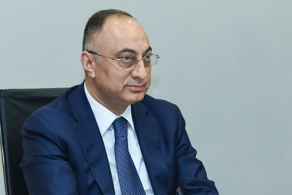 Председатель агентства продовольственной безопасности Гошгар Тахмазли - Sputnik Азербайджан