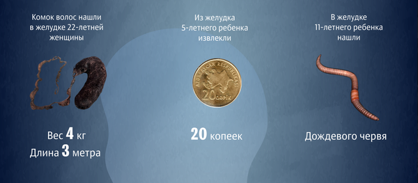 Организм - Sputnik Азербайджан