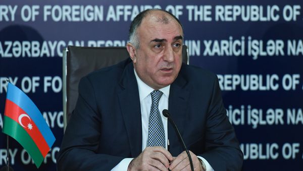 Министр иностранных дел АР Эльмар Мамедъяров во время пресс-конференции в Баку - Sputnik Азербайджан