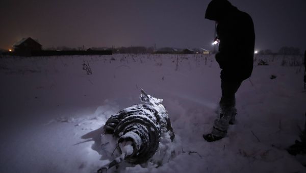 Обломки на месте крушения самолета АН-148 - Sputnik Азербайджан
