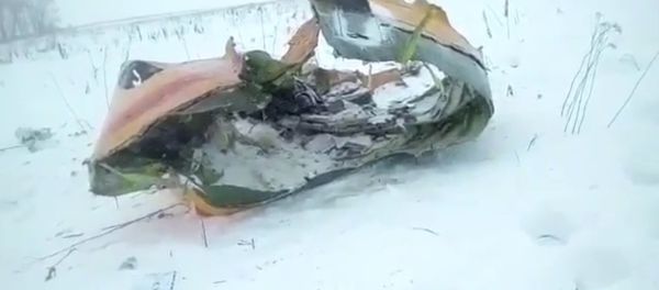 Видео с места падения пассажирского самолета Ан-148 в Подмосковье - Sputnik Азербайджан