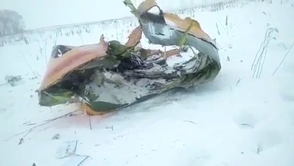 Видео с места падения пассажирского самолета Ан-148 в Подмосковье - Sputnik Азербайджан