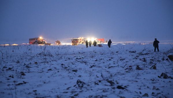 Крушение пассажирского самолета в Московской области - Sputnik Азербайджан