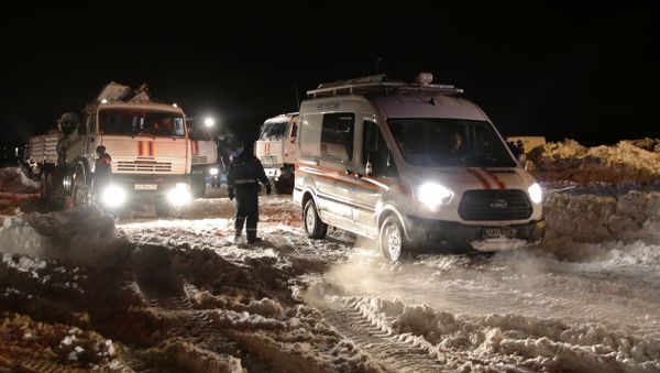 Автомобили МЧС России в Раменском районе Московской области, где самолет Ан-148 Саратовских авиалиний рейса 703 Москва-Орск потерпел крушение - Sputnik Азербайджан