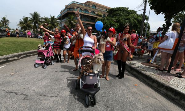Carnival revellers and their dogs take part in the Blocao or dog carnival parade during carnival festivities in Rio de Janeiro, Brazil, February 10, 2018 - Sputnik Азербайджан