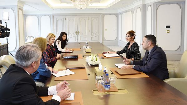 Встреча первого вице-президента Азербайджана Мехрибан Алиевой с торговым посланником премьер-министра Великобритании баронессой Эммой Николсон - Sputnik Азербайджан