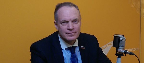 Член Совета Федерация РФ Александр  Башкин - Sputnik Азербайджан