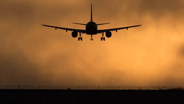Самолет заходит на посадку в международном аэропорту Шереметьево, фото из архива - Sputnik Азербайджан