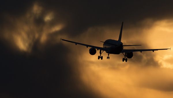 Самолет Airbus A320 авиакомпании Аэрофлот заходит на посадку в международном аэропорту Шереметьево - Sputnik Азербайджан