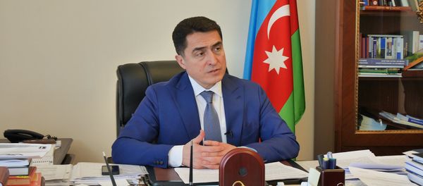Председатель комитета Милли Меджлиса по правовой политике и государственному строительству Али Гусейнли - Sputnik Азербайджан