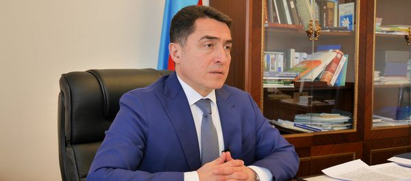 Председатель комитета Милли Меджлиса по правовой политике и государственному строительству Али Гусейнли - Sputnik Азербайджан