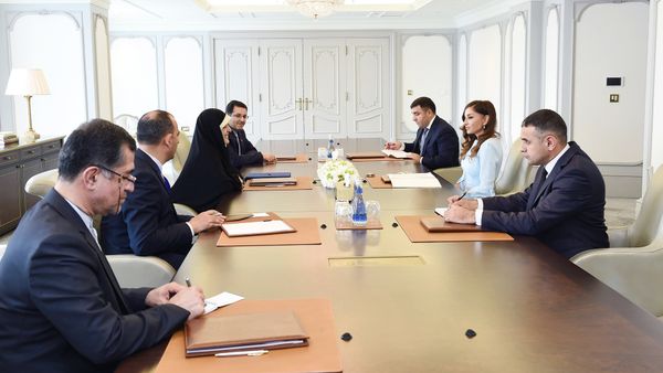 Встреча первого вице-президента Азербайджана Мехрибан Алиевой с заместителем Президента Исламской Республики Иран по вопросам женщин и семьи Масумой Ибтикар - Sputnik Азербайджан
