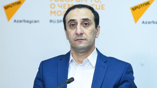 Директор Центра истории Кавказа, азербайджанский историк Ризван Гусейнов - Sputnik Азербайджан