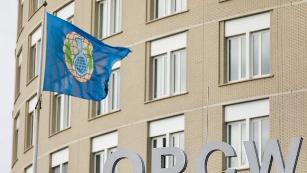 Флаг Организации по запрещению химического оружия перед штаб-квартирой ОЗХО - Sputnik Азербайджан