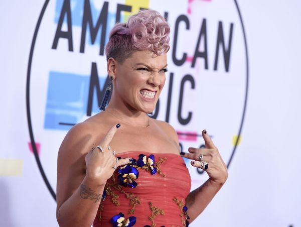 Певица Пинк на церемонии вручения American Music Awards 2017 в Лос-Анджелесе - Sputnik Азербайджан