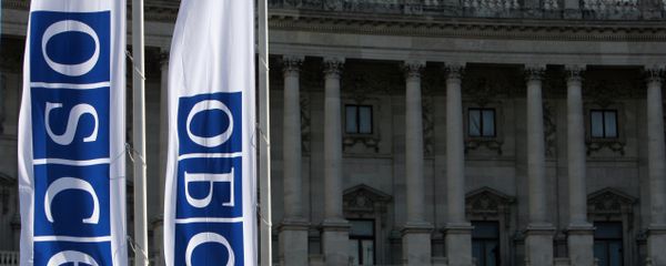 Флаги ОБСЕ - Sputnik Азербайджан