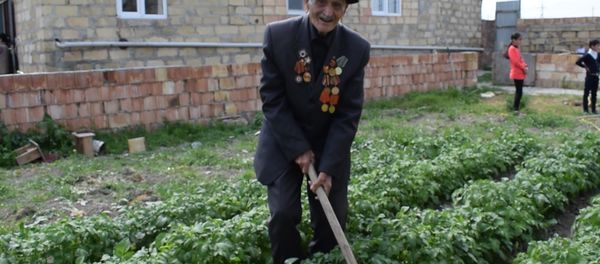 Не стареют душой ветераны: 97-летний азербайджанец растит виноградник - Sputnik Азербайджан