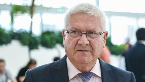 Руководитель Российского информационно-культурного центра в Баку (РИКЦ) Валентин Денисов - Sputnik Азербайджан