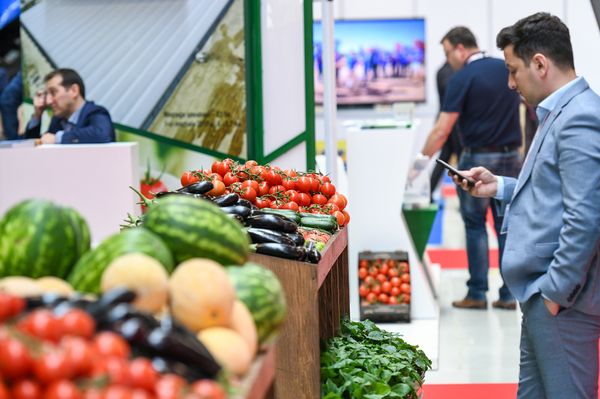 24-я Азербайджанская международная выставка Пищевая промышленность (WorldFood Azerbaijan-2018) и 12-я Азербайджанская международная выставка Сельское хозяйство (Caspian Agro-2018) - Sputnik Азербайджан