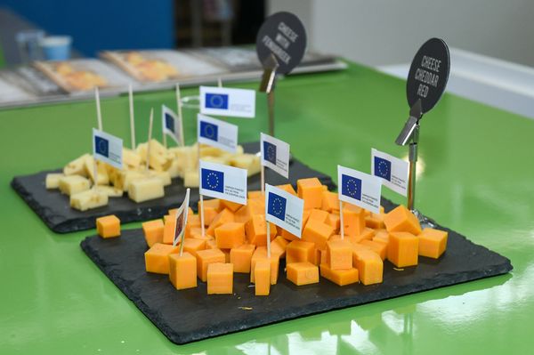 24-я Азербайджанская международная выставка Пищевая промышленность (WorldFood Azerbaijan-2018) и 12-я Азербайджанская международная выставка Сельское хозяйство (Caspian Agro-2018) - Sputnik Азербайджан