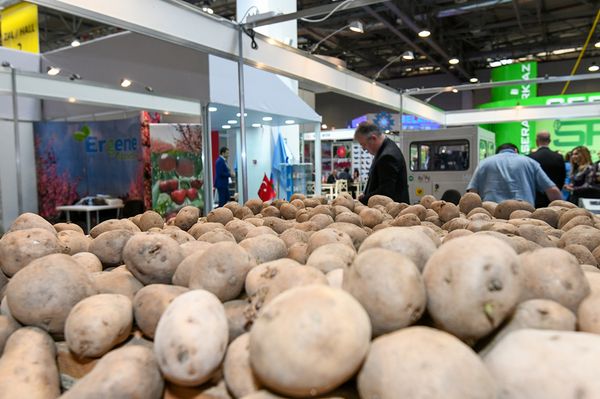 24-я Азербайджанская международная выставка Пищевая промышленность (WorldFood Azerbaijan-2018) и 12-я Азербайджанская международная выставка Сельское хозяйство (Caspian Agro-2018) - Sputnik Азербайджан