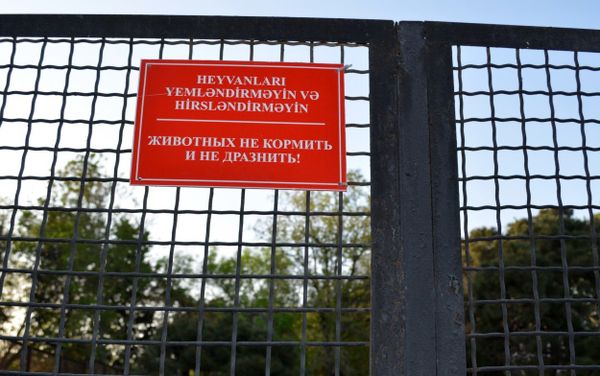 Бакинский зоопарк - Sputnik Азербайджан